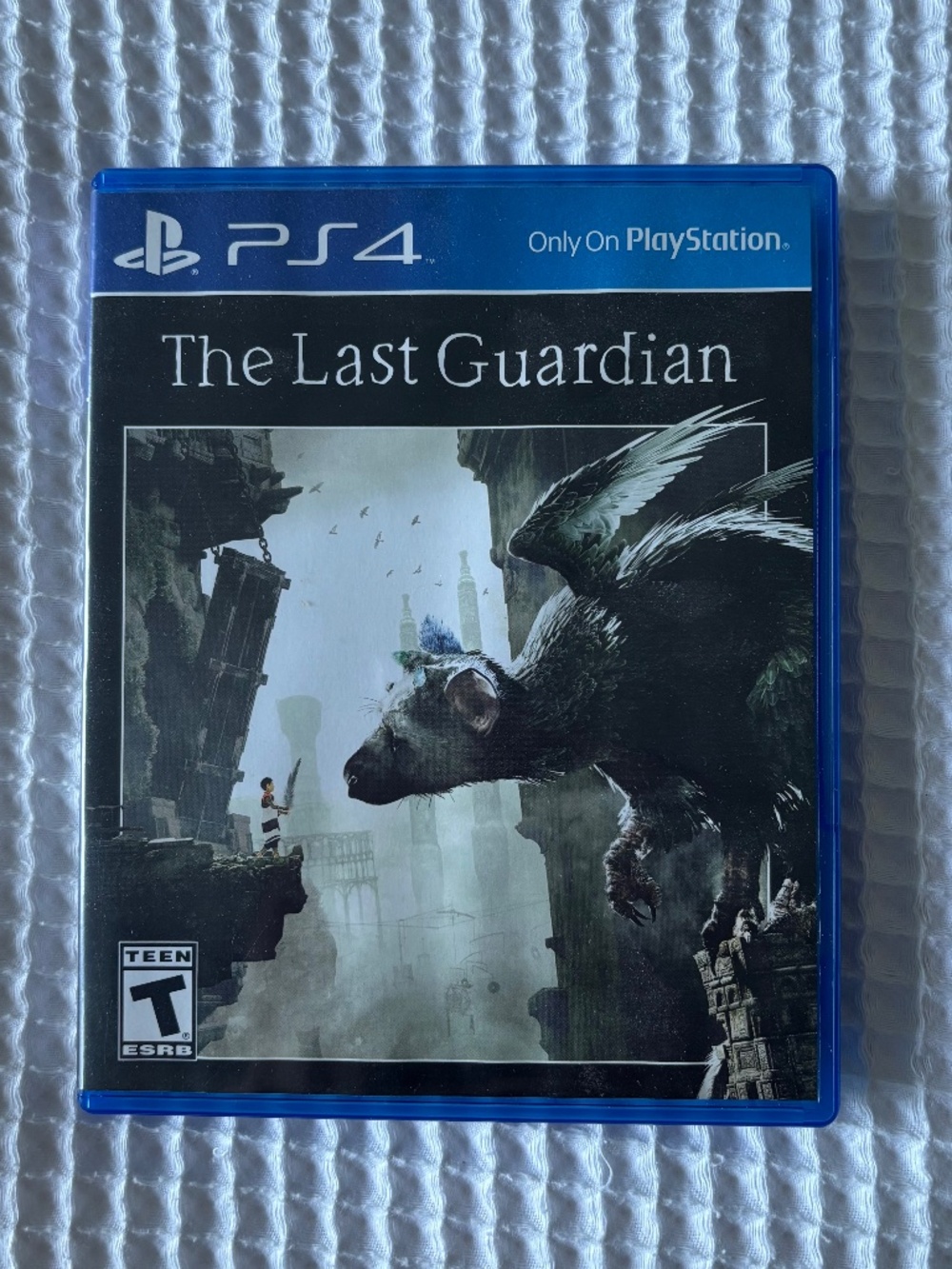 PS4 The Last Guardian